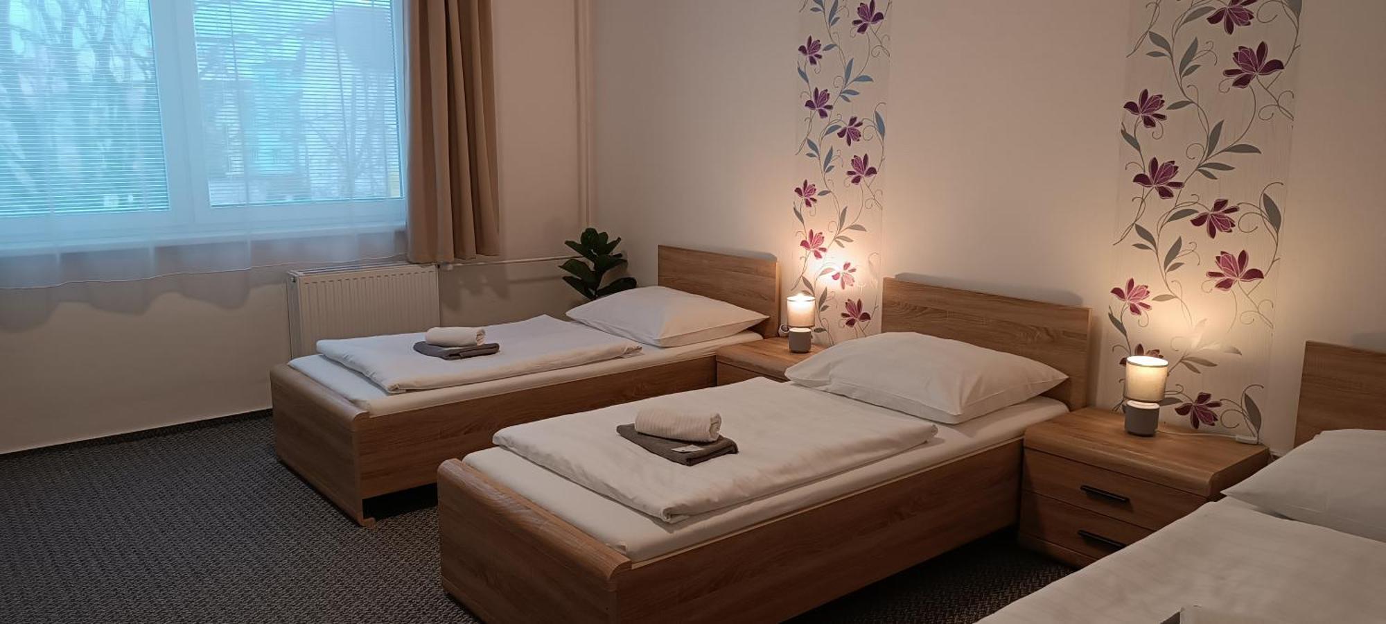 Penzion Starr Havlíčkŭv Brod Ngoại thất bức ảnh